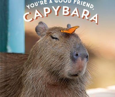 You re a Good Friend, Capybara on Sale