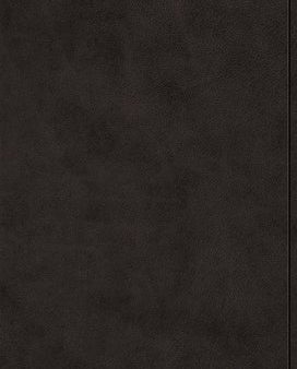 ESV Value Large Print Compact Bible (Trutone, Black) Supply